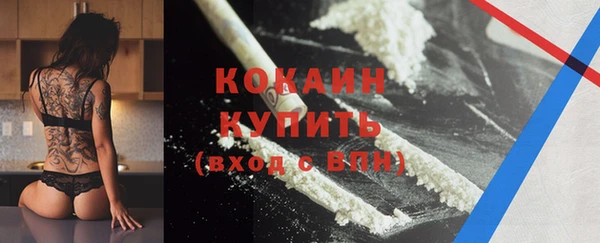 дживик Абаза