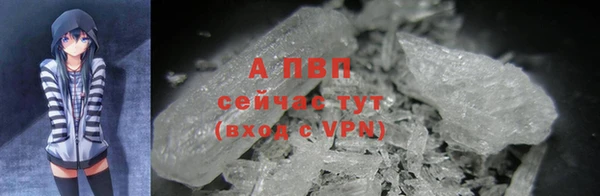 дживик Абаза