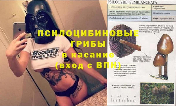 герыч Алзамай