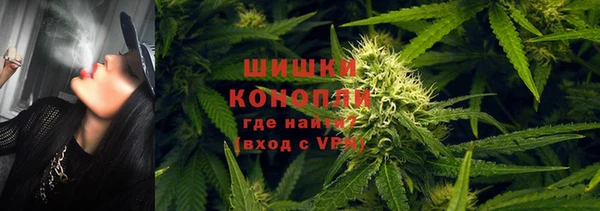 дживик Абаза