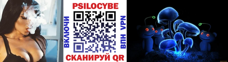 как найти закладки  Красавино  ОМГ ОМГ маркетплейс  Псилоцибиновые грибы Cubensis 